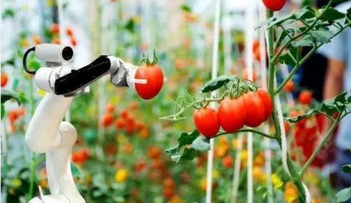 人工智能最終是天使還是魔鬼（無線充電）