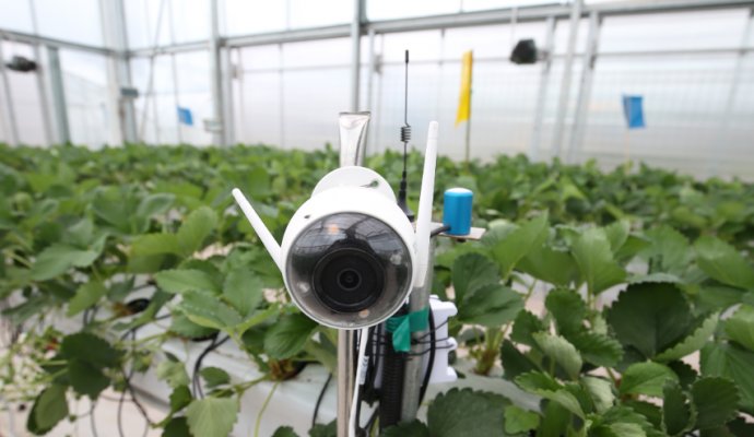 無線充電技術(shù)賦能智慧農(nóng)業(yè)：畜牧業(yè)機器人五大應(yīng)用場景