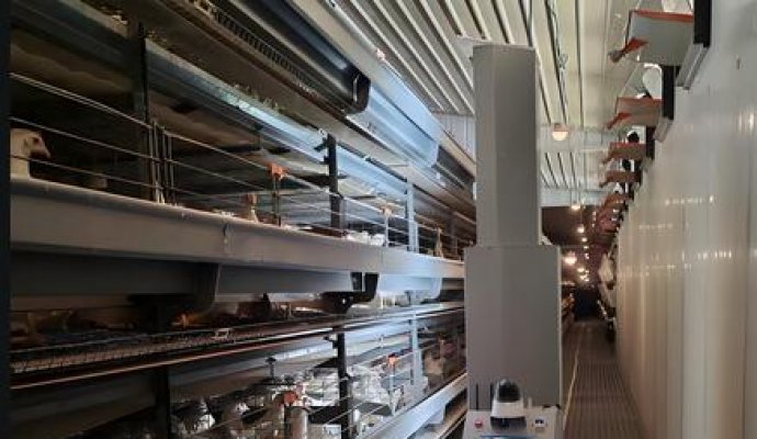 革新蛋雞巡檢：無線充電技術(shù)開啟智能養(yǎng)殖新時代